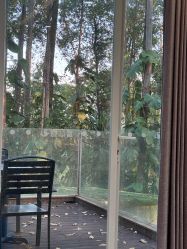 -爱丽馨御景月子中心