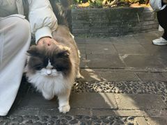 -吃货私房菜(丽江束河古镇店)