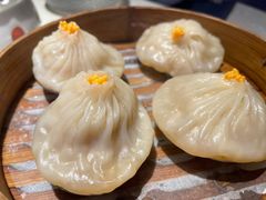 -点都德·毕德寮
