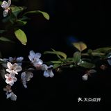 交往的艺术 我们两个人