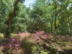 -南山风景名胜区