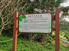 -广西壮族自治区药用植物园