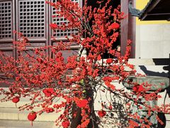 -亭林园-华藏寺