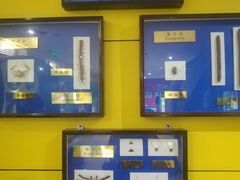 -上海昆虫博物馆