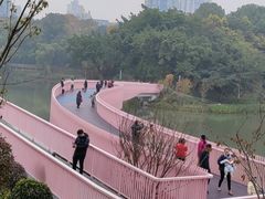 -两江幸福广场