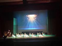 -上海惠灵顿外籍人员子女学校