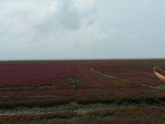 -红海滩国家风景廊道