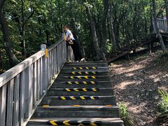 -帽儿山国家森林公园