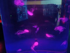 -常州海昌海洋探索馆