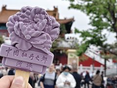 -曹州牡丹园