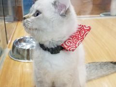 -龟与熊猫宠物公园(南坪店)