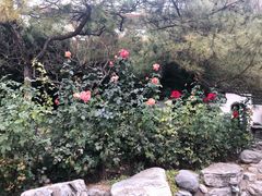 -新川办餐厅