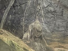 -龙水峡地缝景区