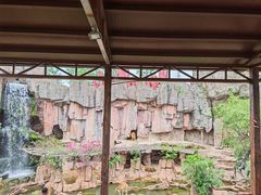 -长鹿旅游休博园