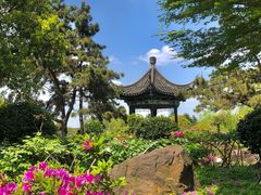 -尚湖风景区