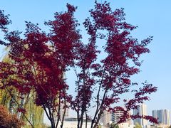 -西海子公园