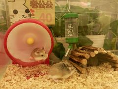 -龙猫仔乐园(惠福东路店)