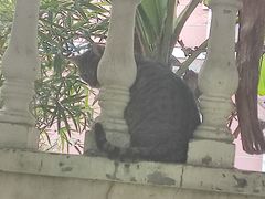-长兴对江渡客运站