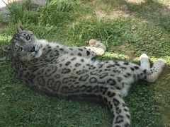-青藏高原野生动物园