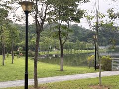 -东莞植物园