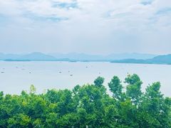 -杭州君悦酒店