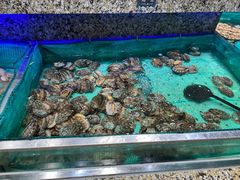 -初色海鲜自助(万丰路店)