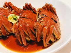 -玫瑰厅上海菜(兴国路店)