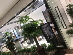 -华卫思理轻奢造型