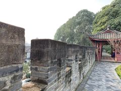 -桂湖森林公园
