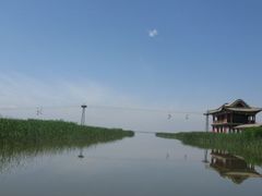 -哈素海