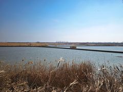 -盐城丹顶鹤湿地生态旅游区