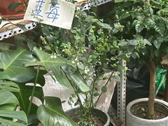 -香炉礁家具市场