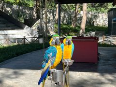 -石家庄市动物园