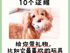 -御宝贝·A梦猫科宠物医院(国际猫友好医院)