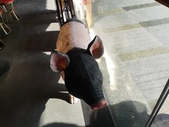 -猪角·闽南猪脚饭(文三路店)