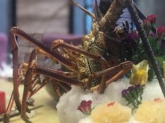 -渔家海鲜舫(宝湖路店)