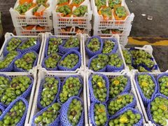 -西郊国际农产品交易中心