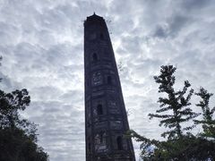 -上海佘山国家森林公园天马山园