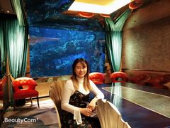 -迪拜帆船酒店海底餐厅