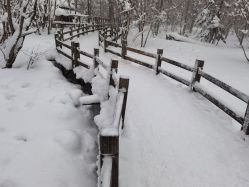 -大秃顶子山