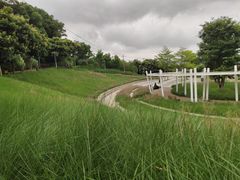 -牛岗山公园