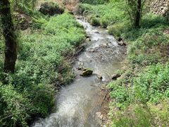 -秦岭终南山世界地质公园翠华山景区