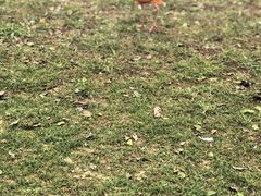-秦皇岛野生动物园