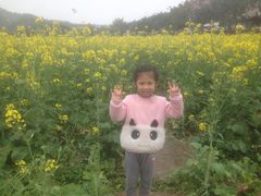 -红山村