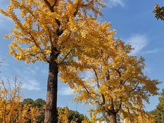 -苏州河梦清园环保主题公园