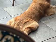 -LE MISSMORE餐酒吧(茉念西里店)