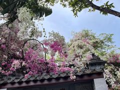 -深圳国际园林花卉博览园