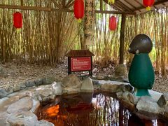 -森波拉火山温泉