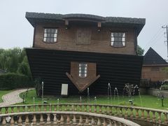 -金山农民画村-枫泾波兰倒置屋