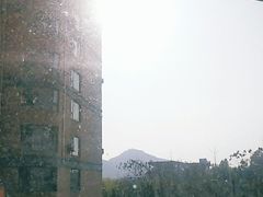 -滨江区妇幼保健院-地上停车场